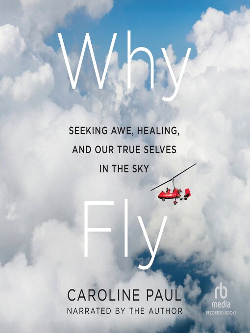 Cover image for Why Fly